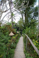 DSC_6000 (198)0129 